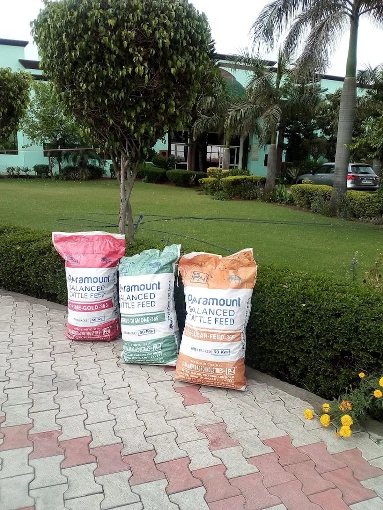 Paramount cattle feed bags